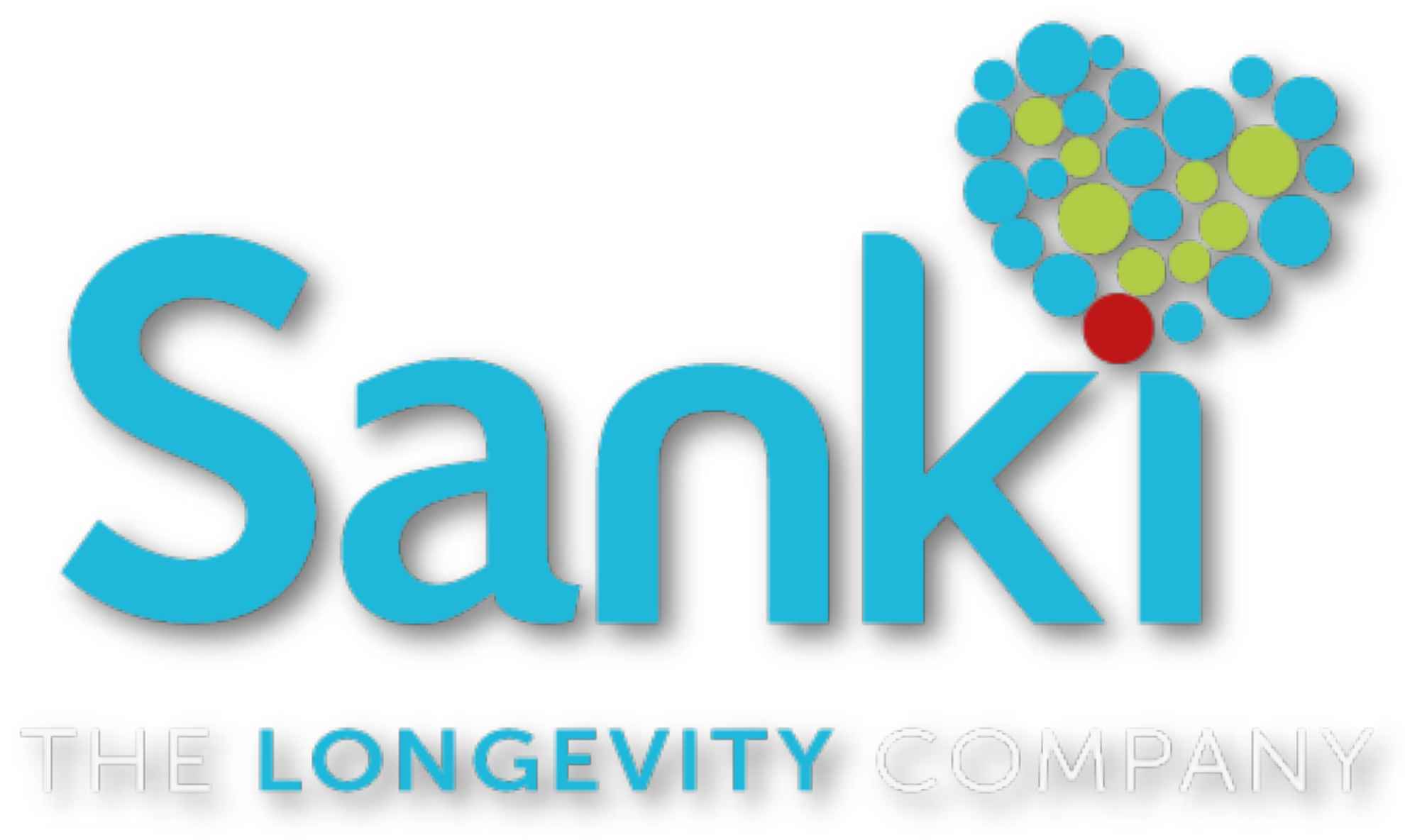 Sanki