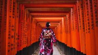 Traditional torii gates at Fushimi Inari in Kyoto