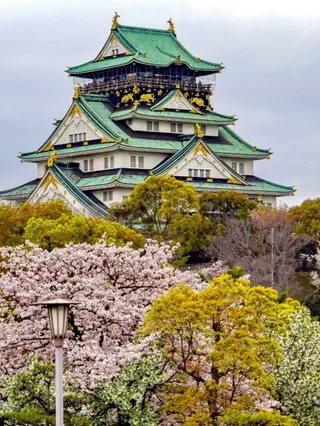 Osaka Castle surrounded by spring blossoms